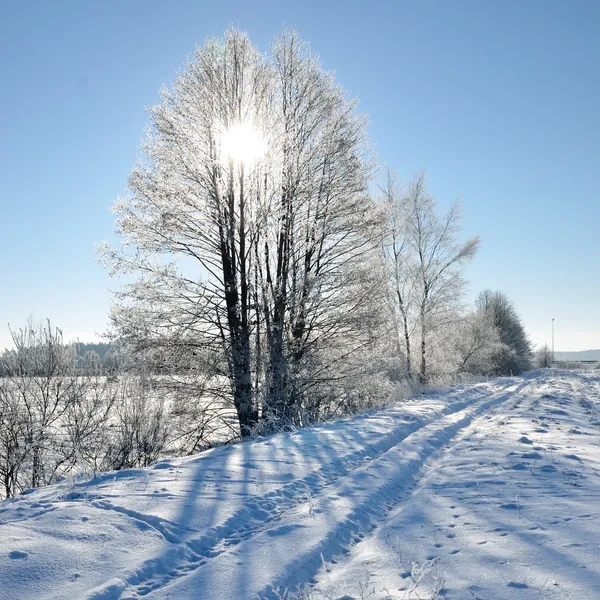 Kış kırsal görünümü — Stok fotoğraf