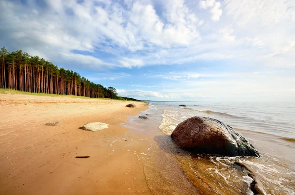 Östersjöns strand i Lettland — Stockfoto