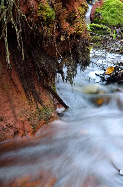 Мала річкова сцена серед скелястої долини — стокове фото