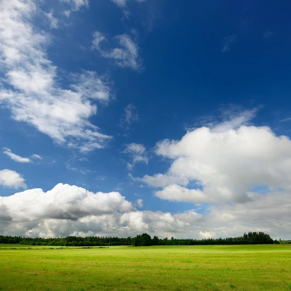 Зеленое поле против голубого неба и облаков — стоковое фото