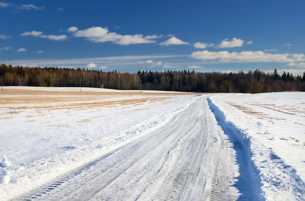 농촌 지역에서도로 클래식 겨울 장면 — 스톡 사진