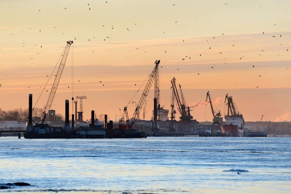 Terminal de carga no porto de Riga ao nascer do sol — Fotografia de Stock
