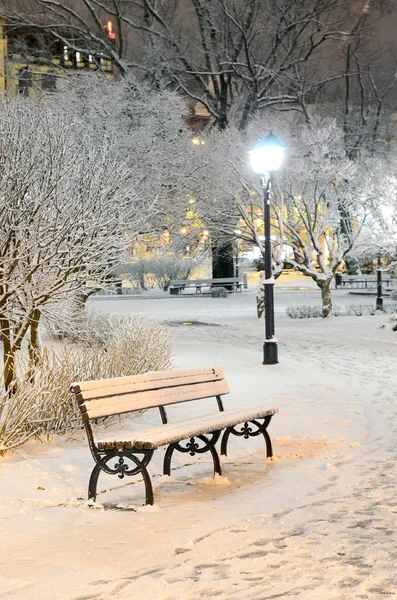 Neve em árvores no parque de Riga à noite — Fotografia de Stock