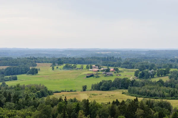 Forest hills covered with mist — Stock Photo, Image