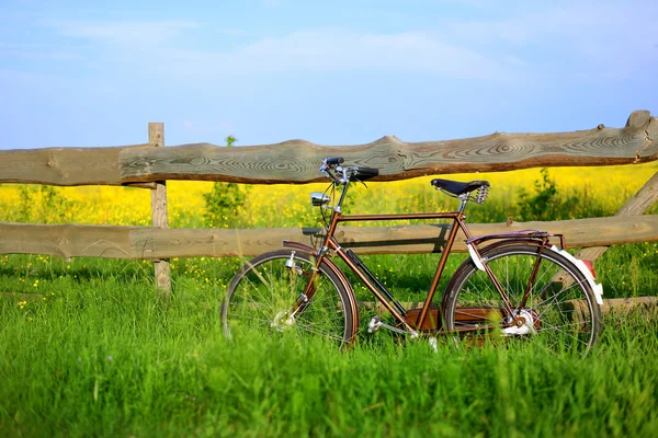 Old vintage brown bicycle near the fence of a flower field — Stock Photo, Image