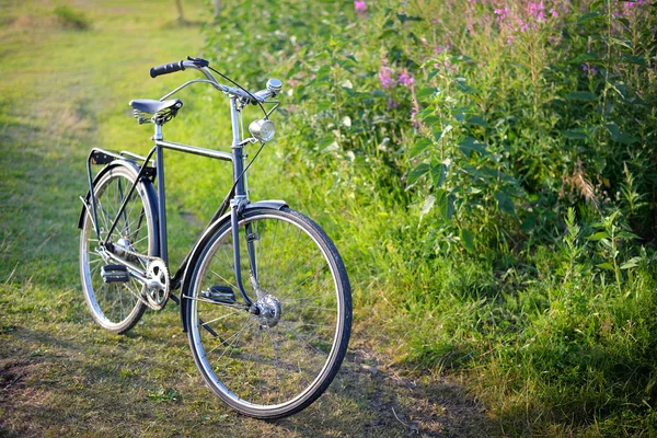 農村地域におけるフィールド上の古いオランダ レトロな自転車 — ストック写真