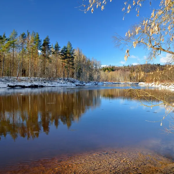 Gauja vale do rio paisagem de inverno. Sigulda, Letónia — Fotografia de Stock