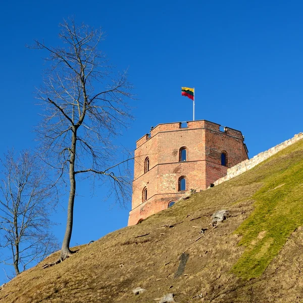 在立陶宛维尔纽斯崭露头角的塔 — 图库照片