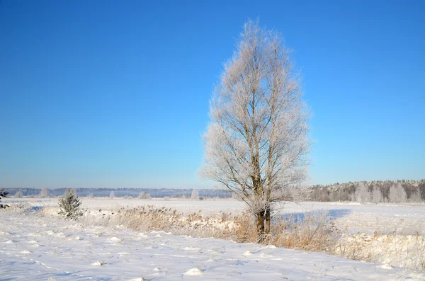 Blick auf die Winterlandschaft — Stockfoto