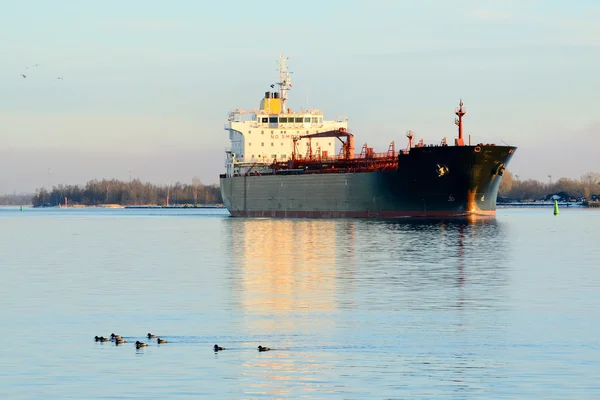 Kargo gemisi ve ördek paketi arka deniz feneri ile — Stok fotoğraf