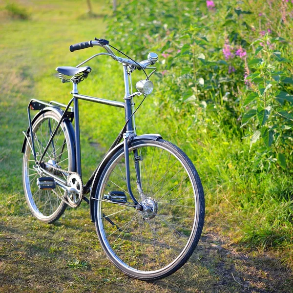 農村地域におけるフィールド上の古いオランダ レトロな自転車 — ストック写真