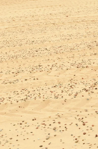 Gros plan sur la plage de sable — Photo