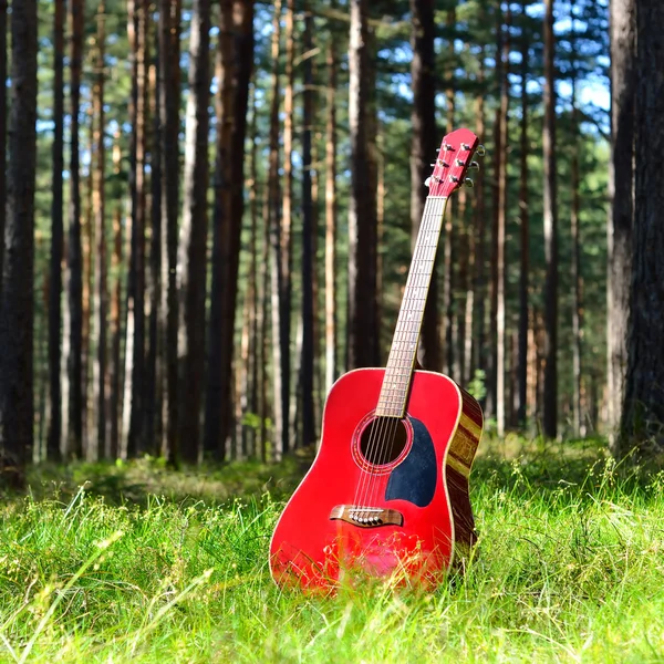 Gitarrenakustik im Gras im Wald — Stockfoto