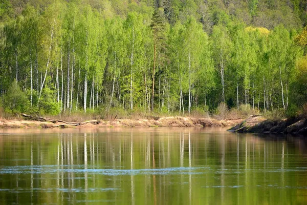 Gauja river in spring morning in Sigulda, Lativa — Stock Photo, Image