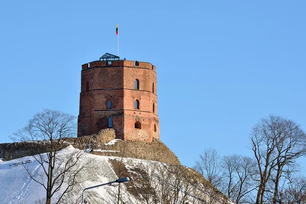 在立陶宛维尔纽斯崭露头角的塔 — 图库照片
