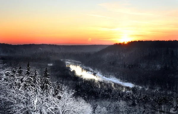 Údolí řeky Gauja v sigulda, Lotyšsko. západ slunce v zimě — Stock fotografie