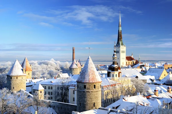 Tallinn stad. Estland. sneeuw op bomen in de winter — Stockfoto