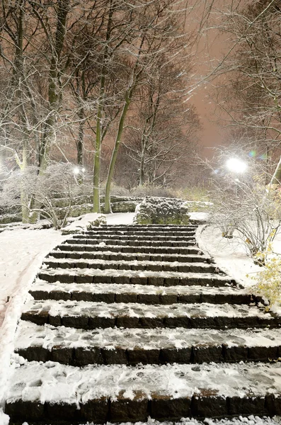 Snow on trees in Riga park by night — Stock Photo, Image