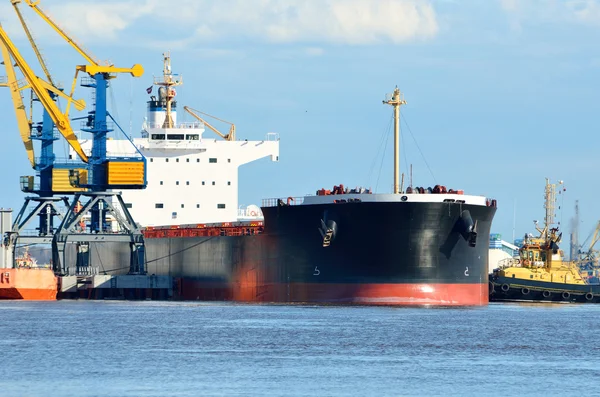 Cargo ship loading in coal cargo terminal — Stock Photo, Image