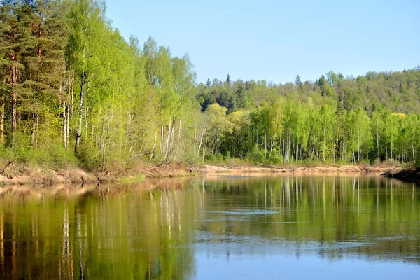 Rio Gauja na manhã de primavera em Sigulda, Lativa — Fotografia de Stock