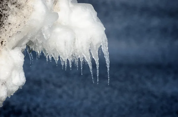 Icicles close-up at the sea shore — Stock Photo, Image