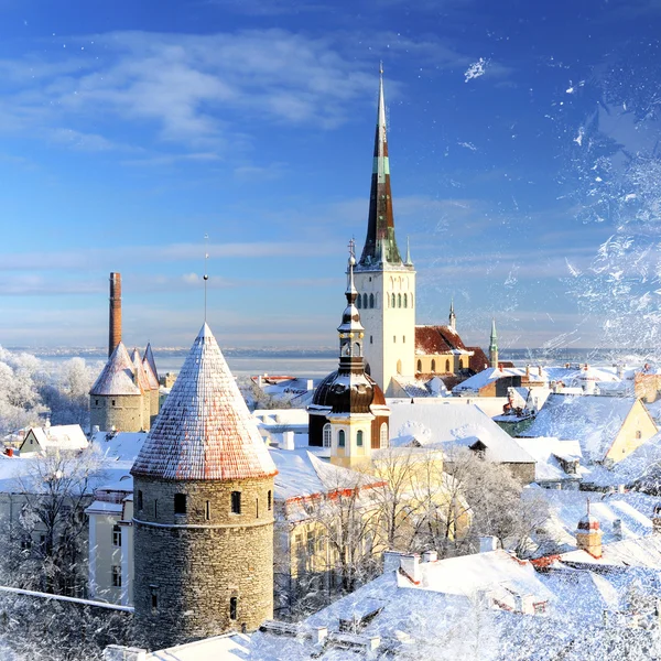 La ciudad de Tallin. Estonia. Nieve en los árboles en invierno — Foto de Stock