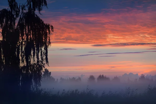 Färgglada sunrise på fältet med dimma på morgonen — Stockfoto