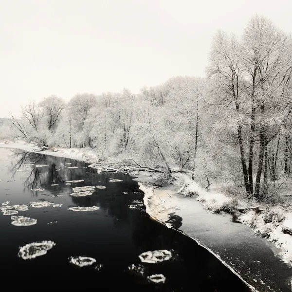 Vintern river och rimfrost på träden — Stockfoto