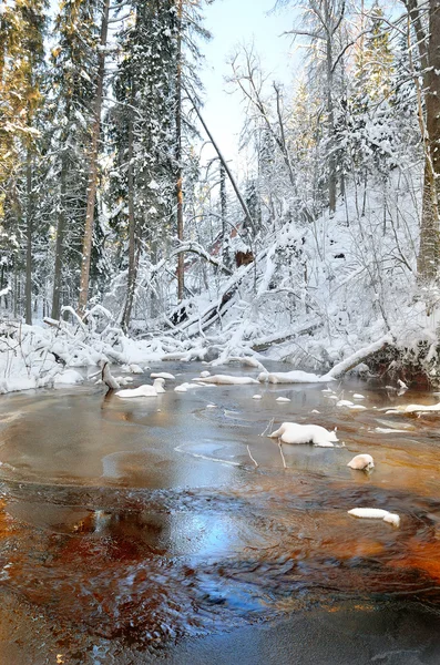 Vinterlandskap river valley — Stockfoto