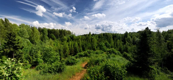 ラトビアの丘の森林。広い視野. — ストック写真