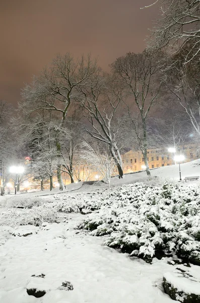 Snow on trees in Riga park by night — Stock Photo, Image