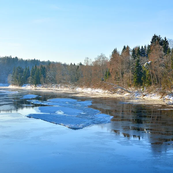 Gauja folyó völgyében téli táj. Sigulda, Lettország — Stock Fotó