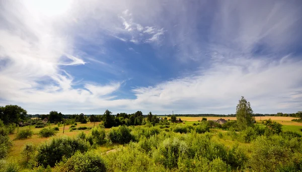 Paisagem rural clássica. Campo verde contra céu azul — Fotografia de Stock