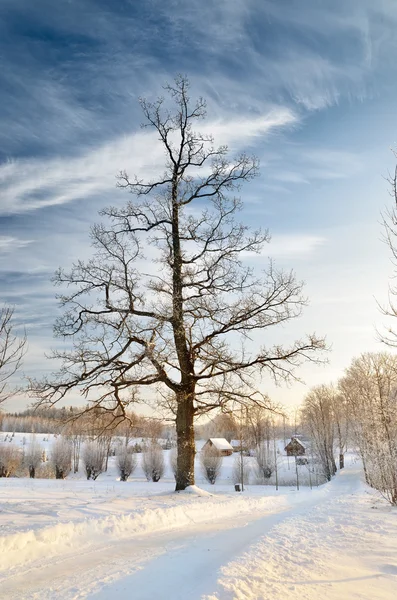 Zimní krajinou zobrazení — Stock fotografie