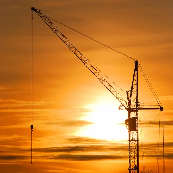 Crane silhouette at the sunset — Stock Photo, Image
