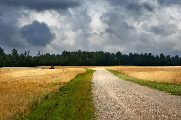 Väg- och spannmål fältet mot mörka stormigt moln — Stockfoto