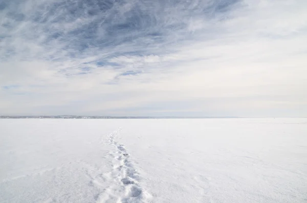 Ghiaccio deserto paesaggio invernale — Foto Stock