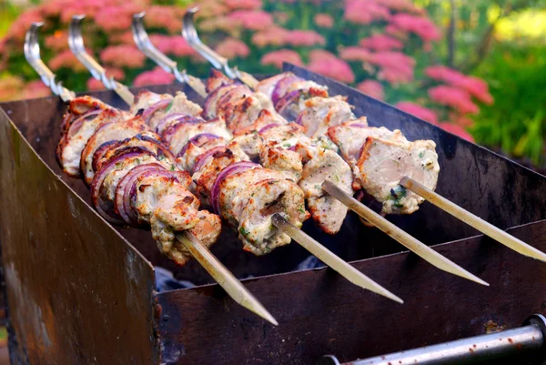 Gegrilde Kaukasus barbecue close-up — Stockfoto