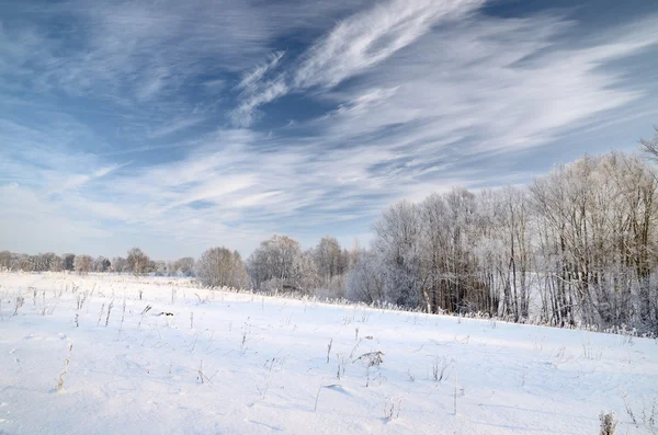 冬の農村ビュー — ストック写真