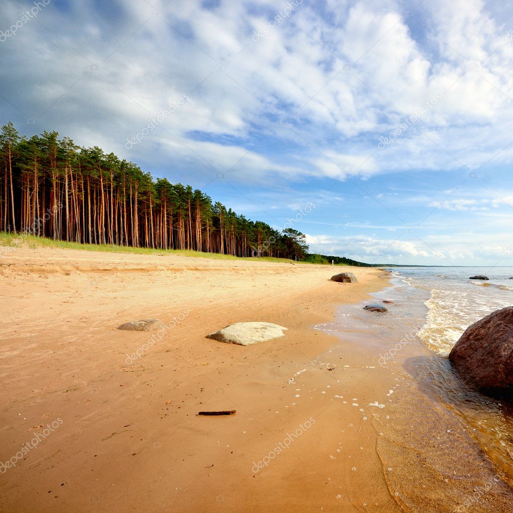 Baltic sea shore in Latvia — Stock Photo © alex.stemmer 32827487