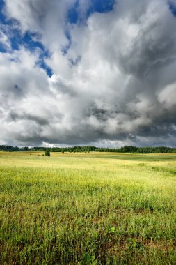 karanlık fırtınalı bulutlar karşı yeşil alan