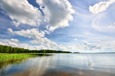 Lake Forest yansıması ile
