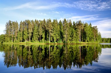 Lake Forest yansıması ile