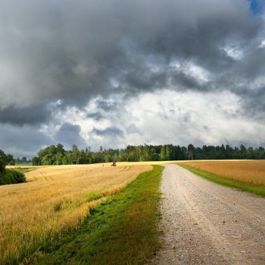 yol ve tahıl alan karanlık fırtınalı bulutlar karşı