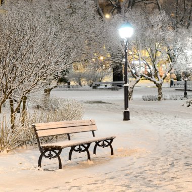 riga park ağaçlarda gece kar