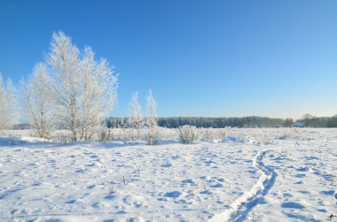 Kış kırsal görünümü