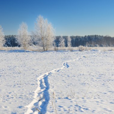 Kış kırsal görünümü