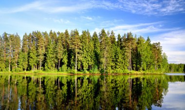 Lake Forest yansıması ile