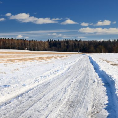 kırsal alanda yol klasik kış sahne