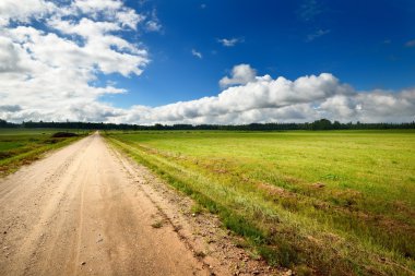 yeşil alan ve yol fırtınalı gökyüzü